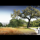 Image for article titled The New High Resolution Renders of Apple's Next Campus Are Gorgeous